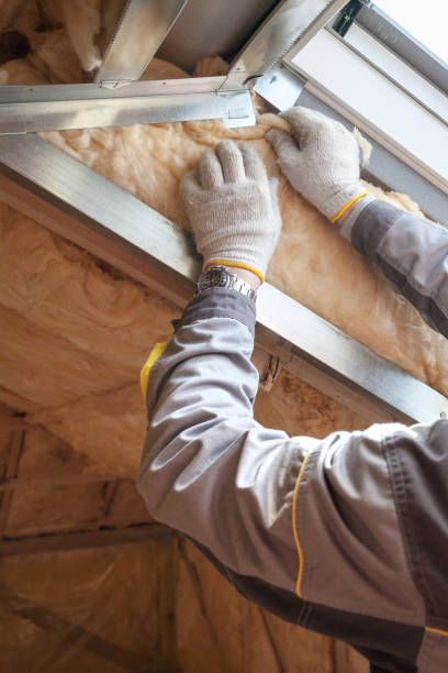 Best Insulation Maintenance and Repair in Roberta, GA